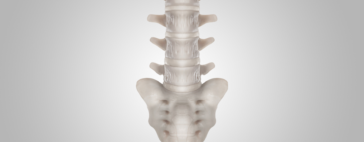 artrose-na-coluna-not-ortopedia-blog.jpg